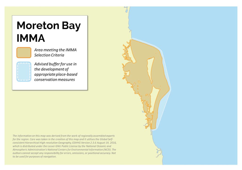 moreton bay high voyeur