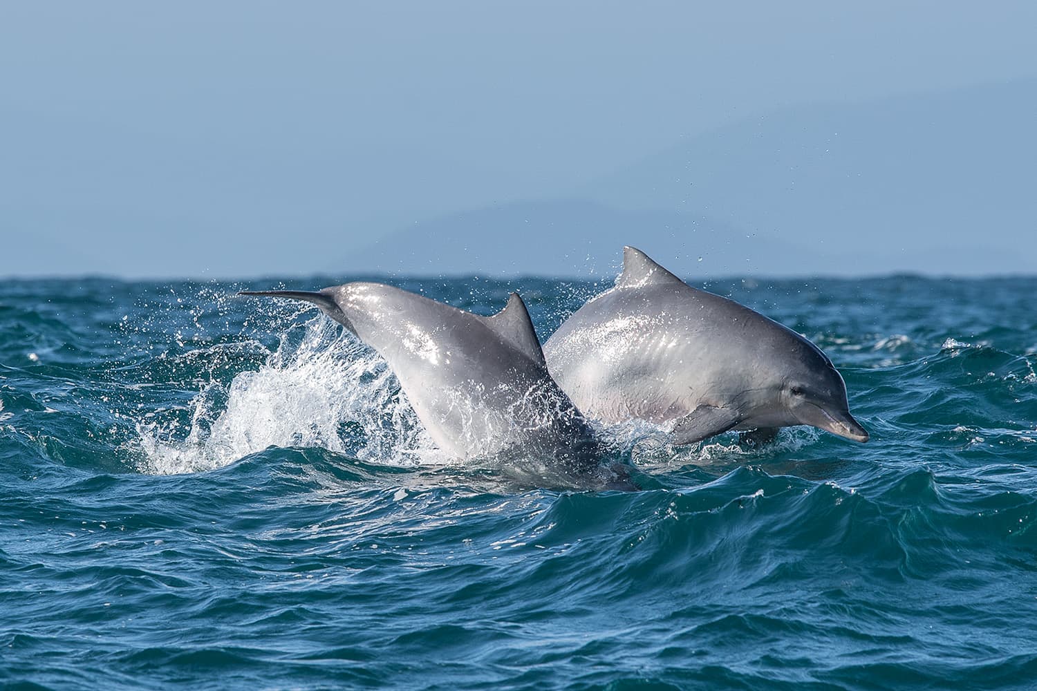 Estudantes de Santos vão atuar na prática para o monitoramento dos oceanos