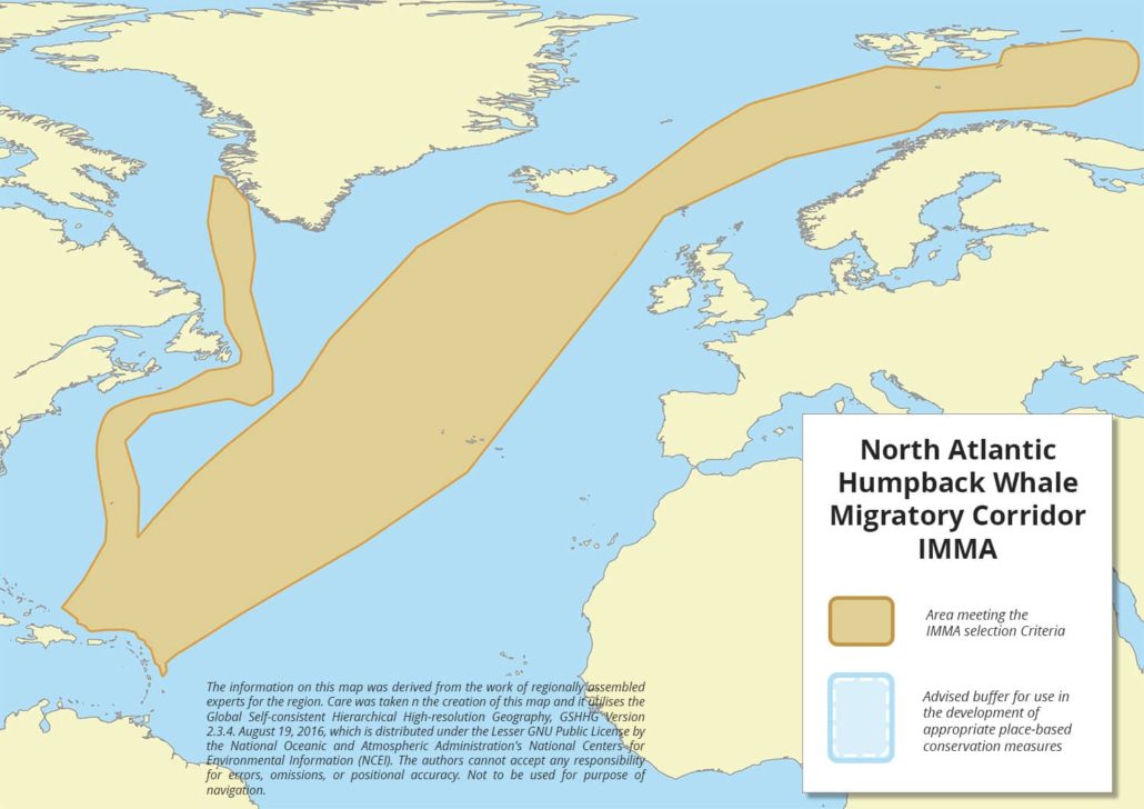 North-Atlantic-Humpback-Whale-Migratory-Corridor-IMMA