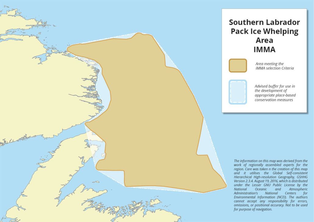 Southern-Labrador-Pack-Ice-Whelping-Area-IMMA