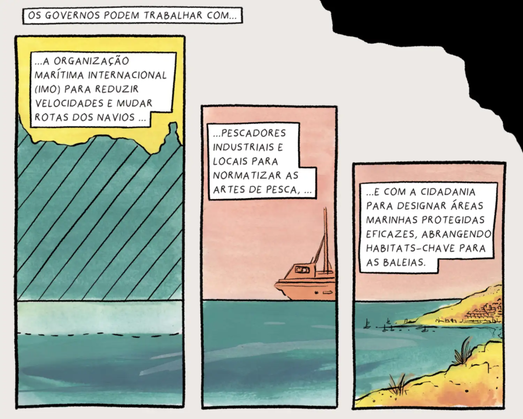 Franciscana dolphin Franciscana dolphin