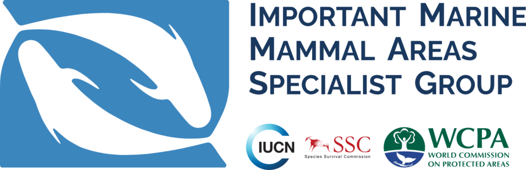 IMMASG-logo-small