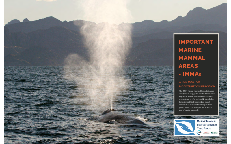 Important Marine Mammal Areas - brochure